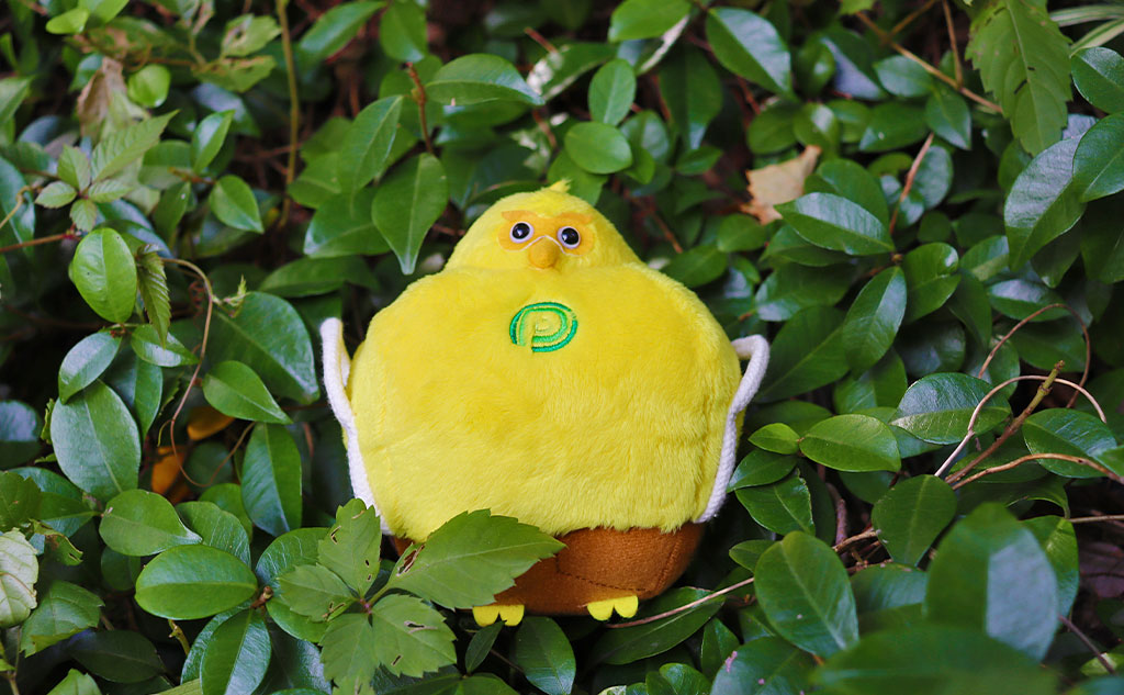 草に埋まるオフクロサマ